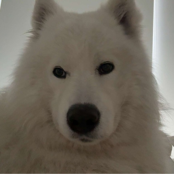 Meet your Posher, Arianne - Picture 1 of 1